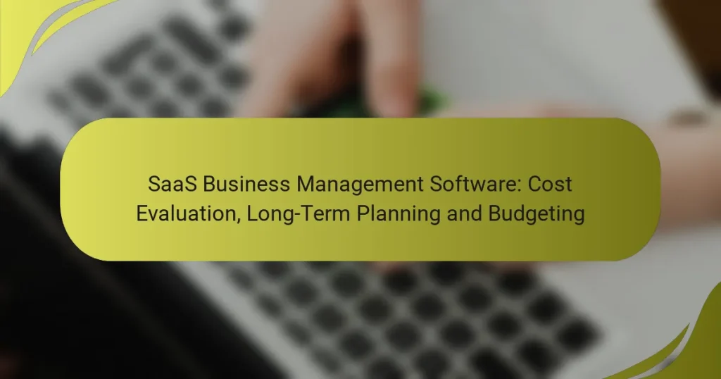 SaaS Business Management Software: Cost Evaluation, Long-Term Planning and Budgeting