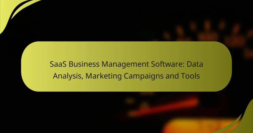SaaS Business Management Software: Data Analysis, Marketing Campaigns and Tools