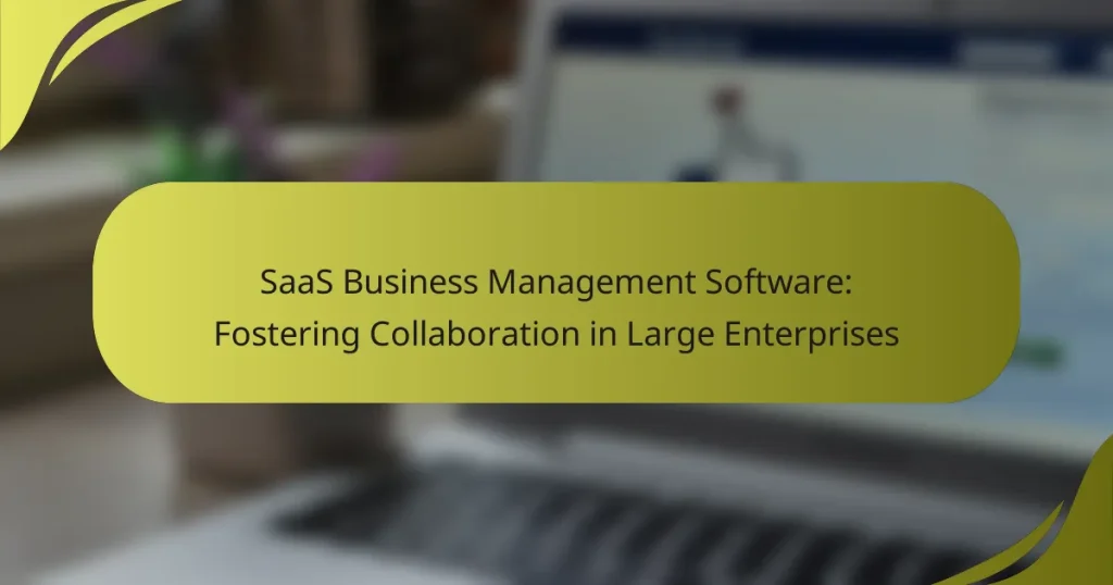 SaaS Business Management Software: Fostering Collaboration in Large Enterprises