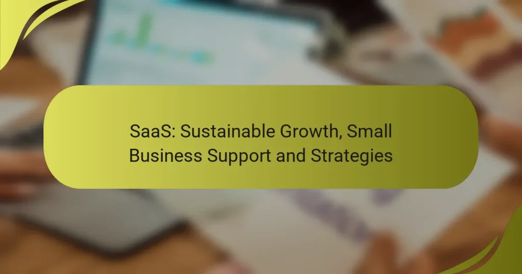 SaaS: Sustainable Growth, Small Business Support and Strategies