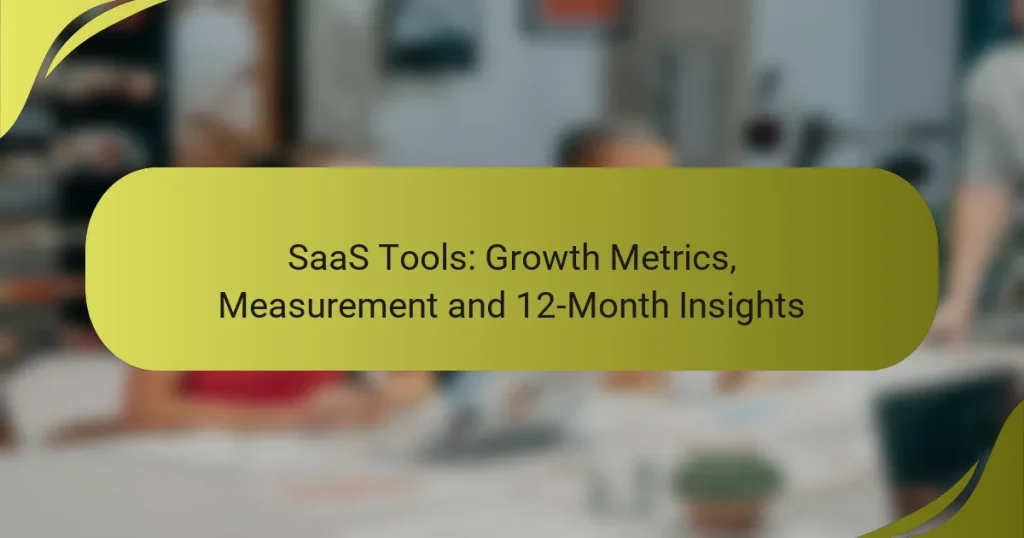 SaaS Tools: Growth Metrics, Measurement and 12-Month Insights