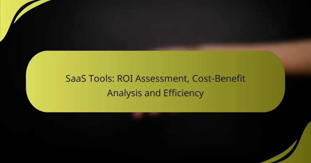 SaaS Tools: ROI Assessment, Cost-Benefit Analysis and Efficiency