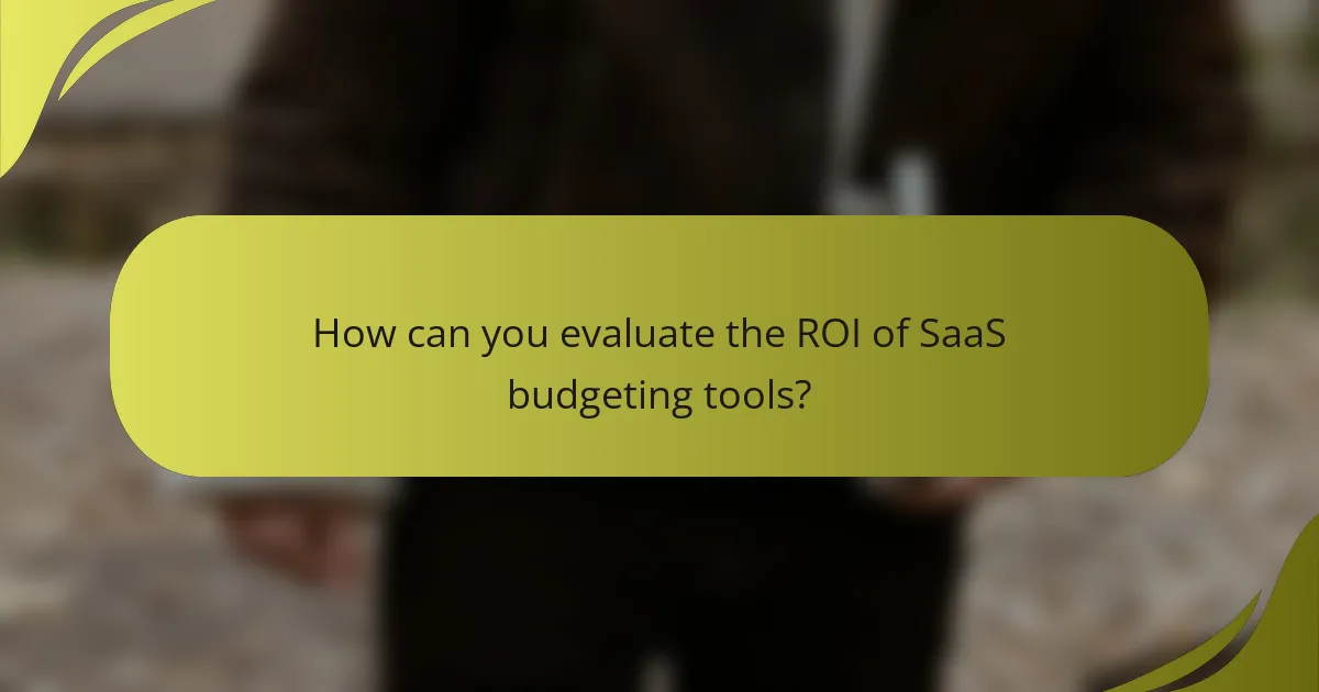 How can you evaluate the ROI of SaaS budgeting tools?