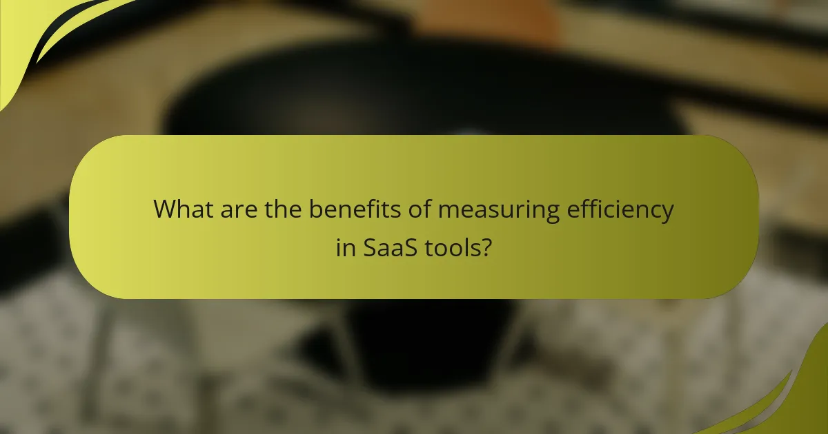 What are the benefits of measuring efficiency in SaaS tools?
