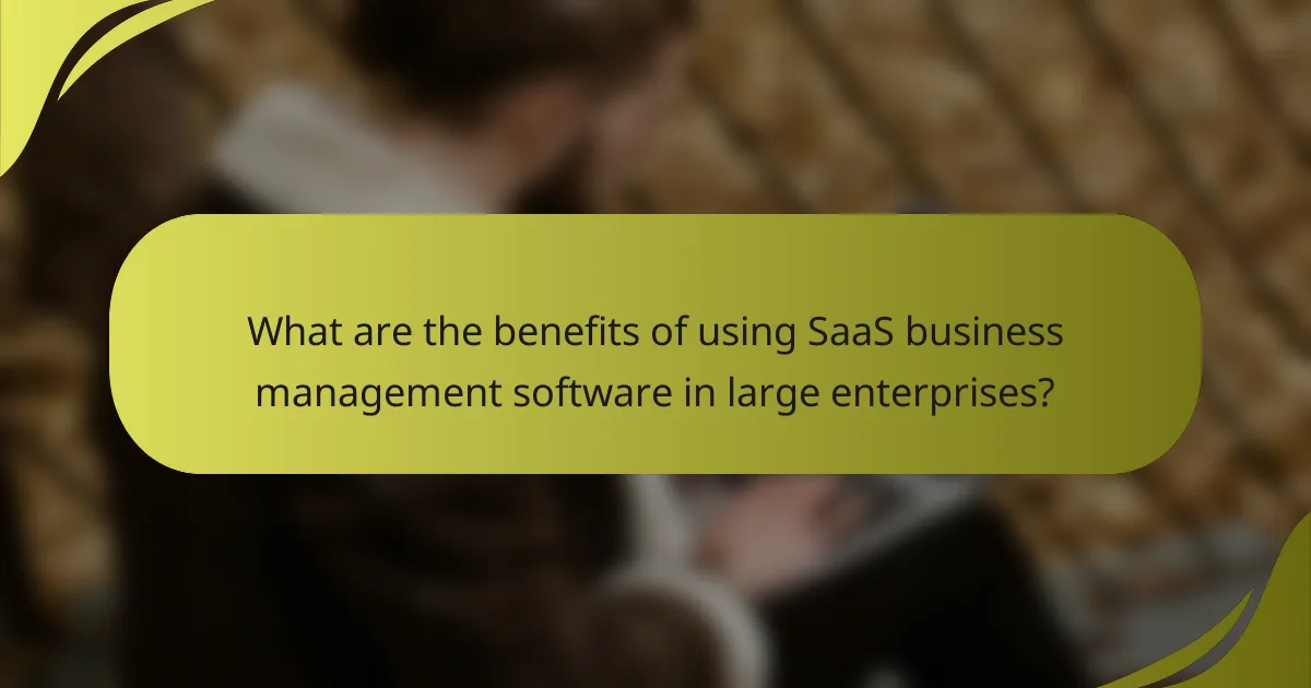 What are the benefits of using SaaS business management software in large enterprises?