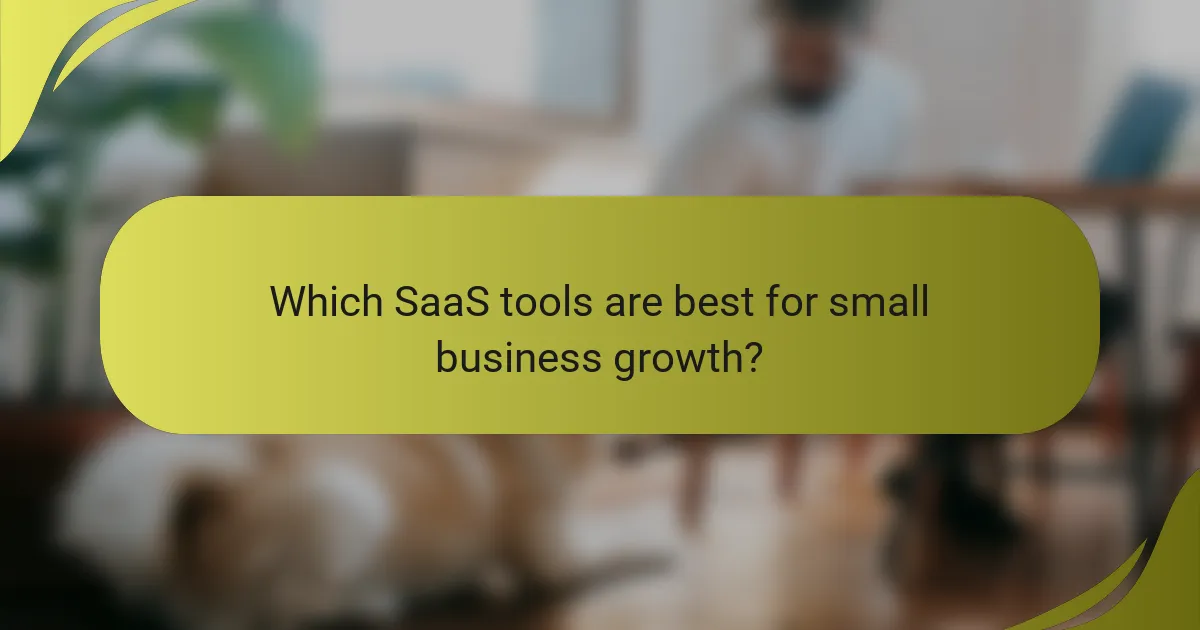 Which SaaS tools are best for small business growth?